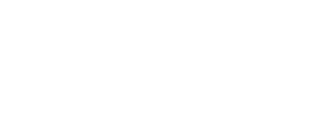 SNIN_logo